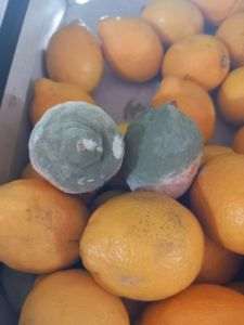 ANPC a aplicat amenzi de 1,43 milioane de lei în urma controalelor efectuate la peste 450 de operatori economici